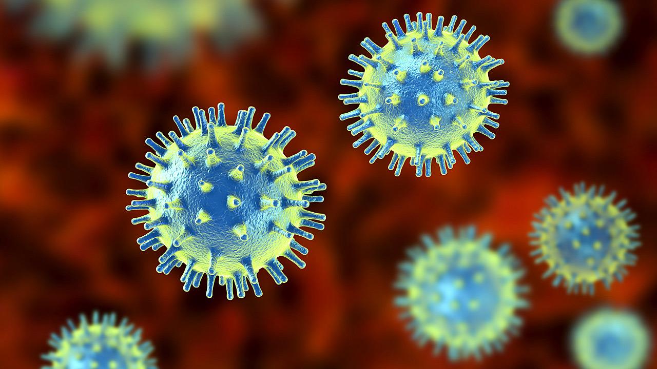 Αναδυόμενες απειλές η γρίπη D και ο κορωνοϊός των σκύλων