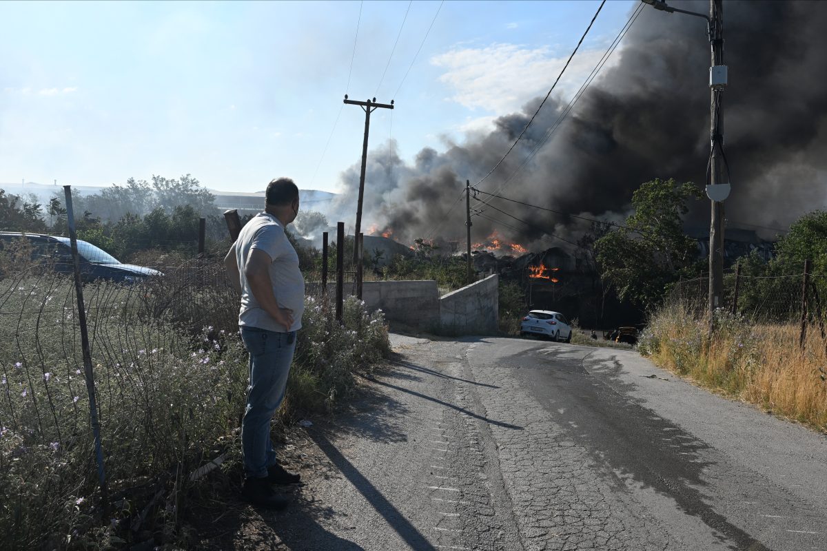 Θεσσαλονίκη: Πού απαγορεύτηκε η κυκλοφορία λόγω υψηλού κινδύνου πυρκαγιάς