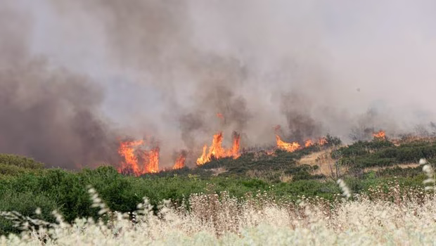 Θεσσαλονίκη: Φωτιά κοντά στο Καλαμωτό Λαγκαδά – Σηκώθηκαν εναέρια μέσα