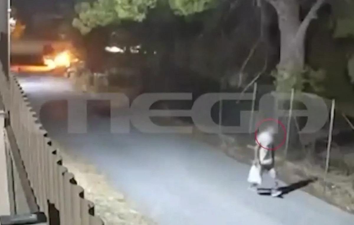 Καρέ-καρέ ο εμπρησμός από πρόθεση στην Άνοιξη δίπλα σε δασική έκταση: Συνελήφθη 50χρονος – Δείτε βίντεο