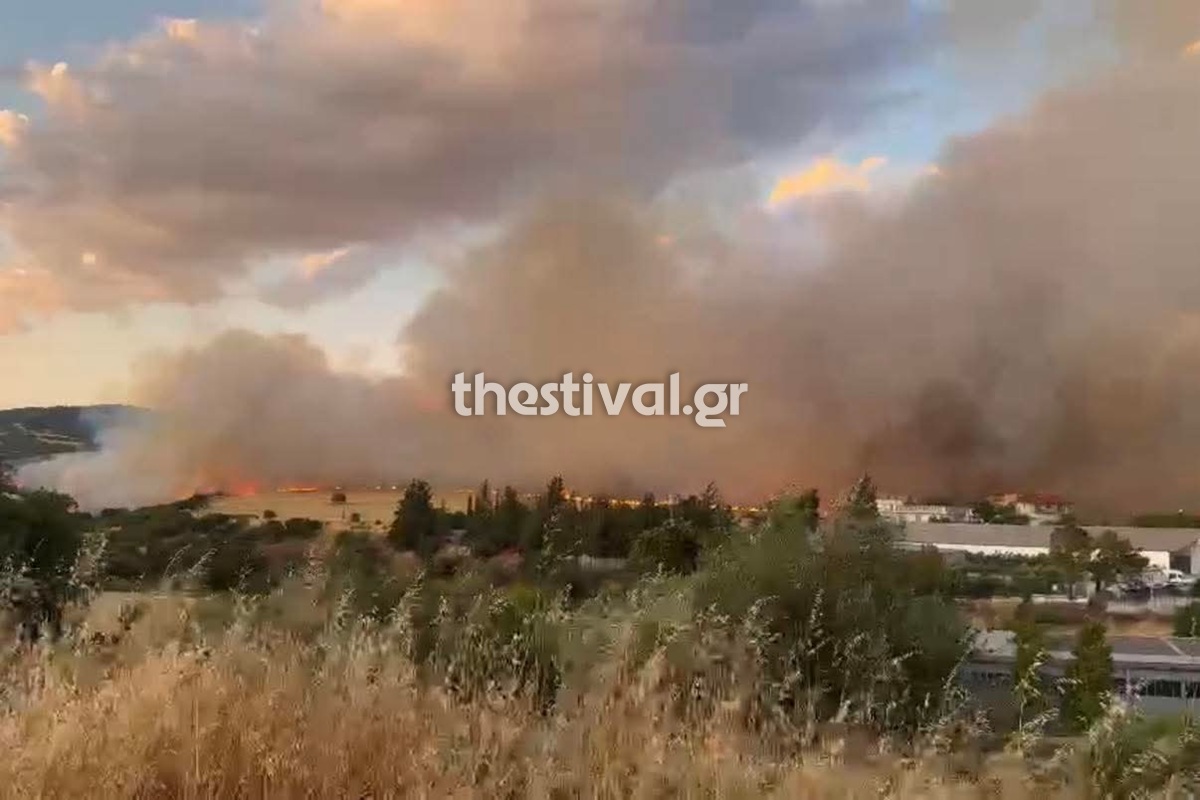 Θεσσαλονίκη: Πυρκαγιά σε περιοχή του Ωραιοκάστρου – Μήνυμα από το 112