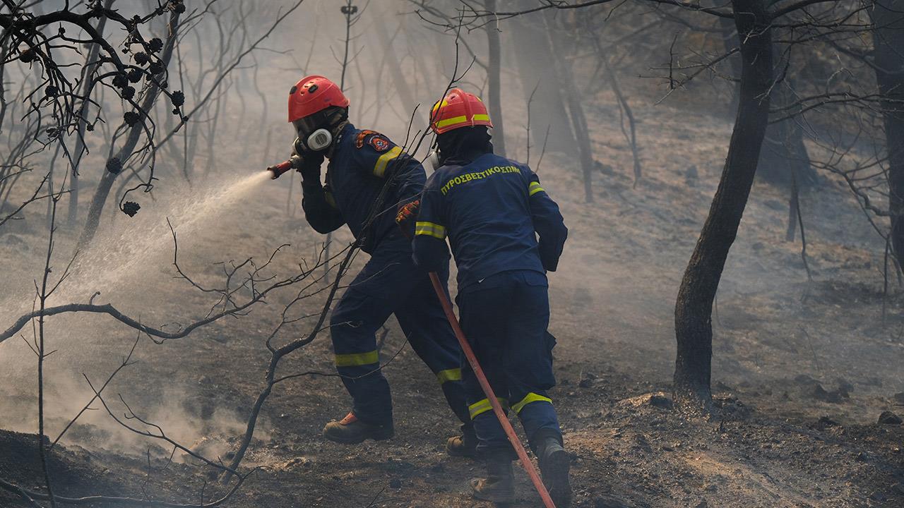Το 42% των δασών της κάηκαν σε μια δεκαετία