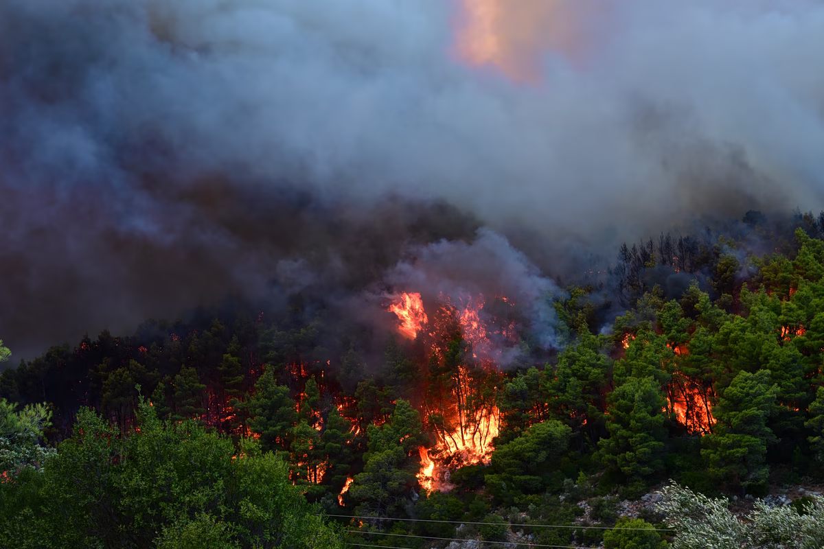 Πολύ υψηλός κίνδυνος πυρκαγιάς σε Αττική, Βοιωτία και Εύβοια την Κυριακή