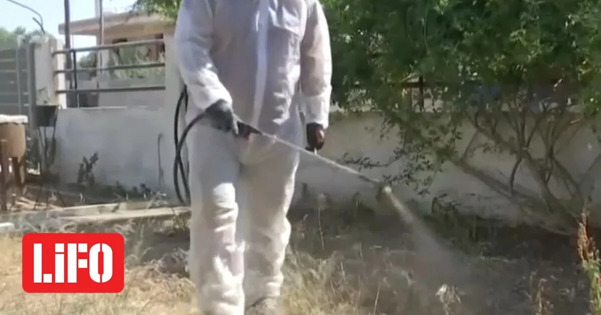 Ιός του Δυτικού Νείλου: Στη δεύτερη θέση η Ελλάδα μετά την Ιταλία στις περιοχές που έχουν επηρεαστεί