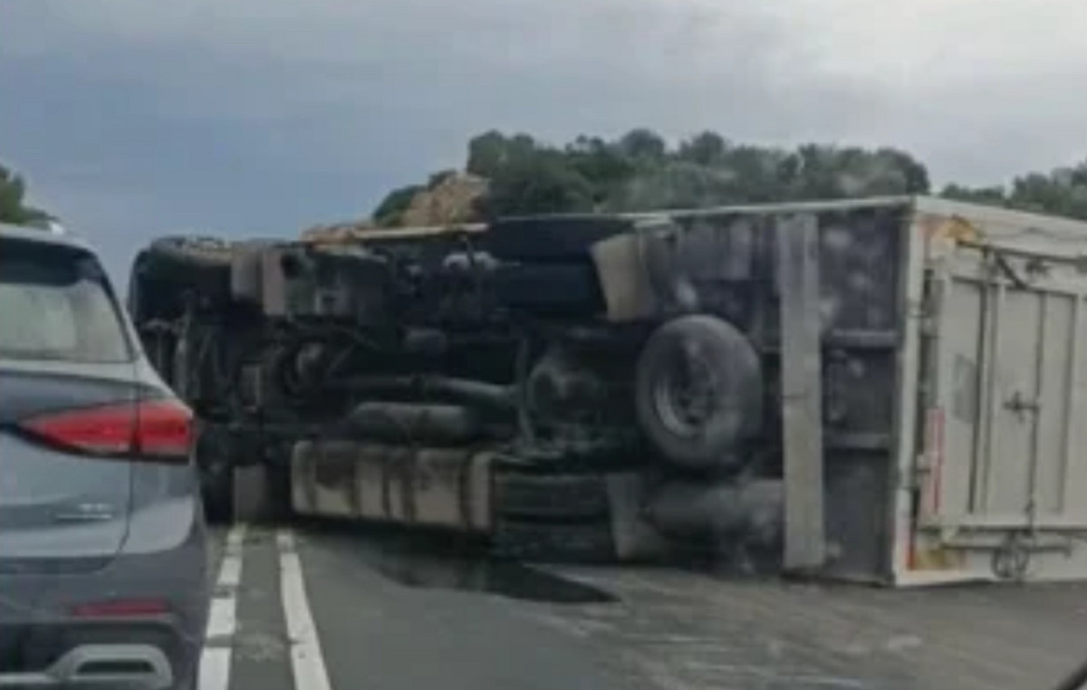 Ανατροπή νταλίκας στον ΒΟΑΚ – Νεκρά ζώα στην άσφαλτο