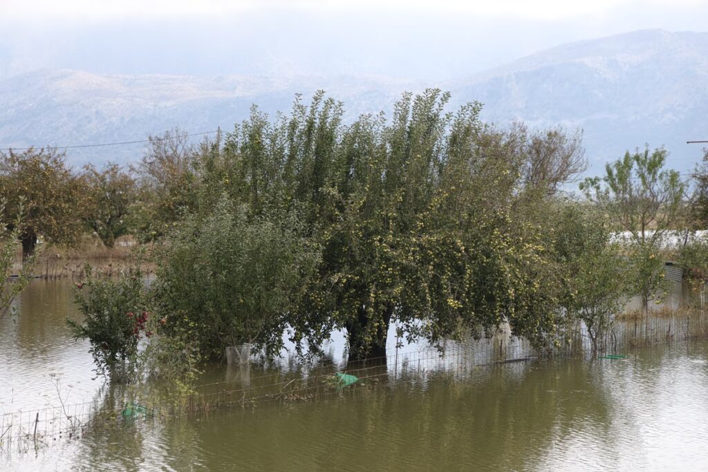 Οροπέδιο Λασιθίου: Πλημμύρες λόγω έλλειψης υποδομών – Κατεστραμμένες καλλιέργειες αλλά ανάσα για τη λειψυδρία