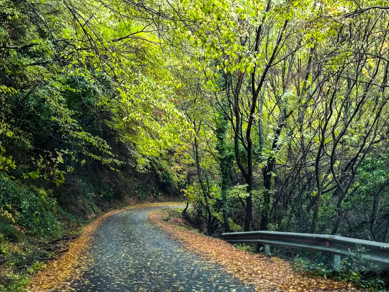 Νέα «ασπίδα» προστασίας στα δάση