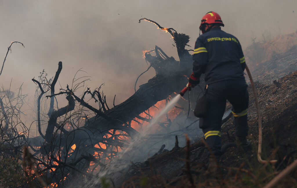 Έξι συλλήψεις για πυρκαγιές από αμέλεια σε Ζάκυνθο, Φθιώτιδα, Τρίκαλα, Αργολίδα και Εύβοια