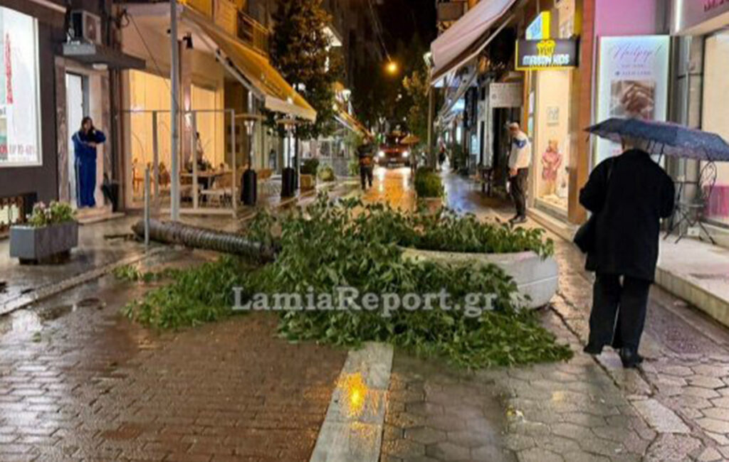 Άκουσε τον θόρυβο και γλίτωσε την τελευταία στιγμή – Μεγάλο δέντρο έπεσε σε πεζόδρομο της Λαμίας