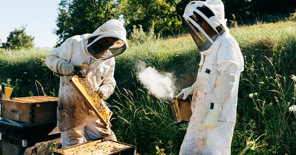 «e-honey»: Ψηφιακό «μάτι» στο μέλι – Πρόστιμα έως 10.000 ευρώ για παραγωγούς και εμπόρους
