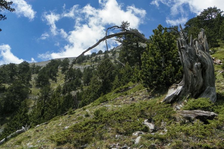Όλυμπος: Στην UNESCO και με έργα 13,2 εκατ. ευρώ για την προστασία του