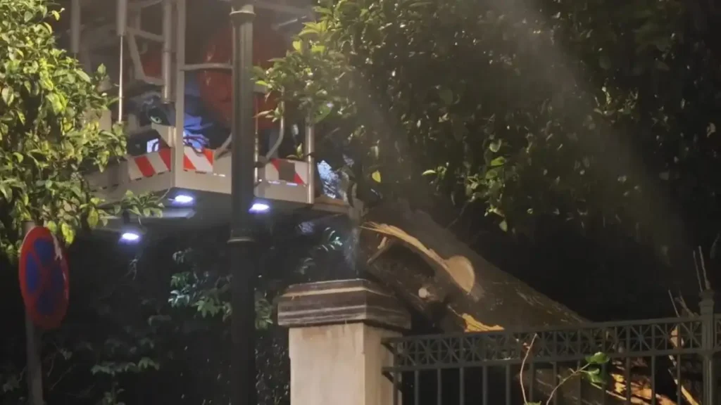 Πτώση δέντρου κοντά στο Μέγαρο Μαξίμου – Κλειστή η Ηρώδου Αττικού, επιχειρεί η Πυροσβεστική