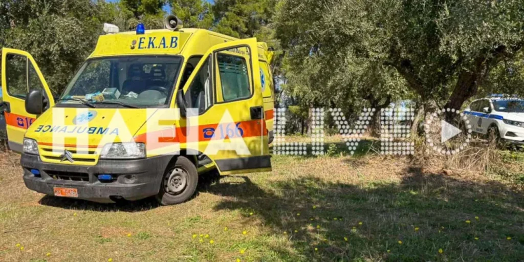 Ηλεία: 73χρονος εντοπίστηκε νεκρός σε ελαιώνα, κάτω από δέντρο