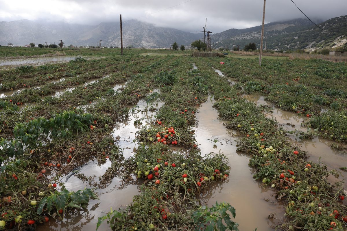 ΕΛΓΑ: Μέχρι τις 19 Οκτωβρίου οι δηλώσεις ζημιάς στο Οροπέδιο Λασιθίου