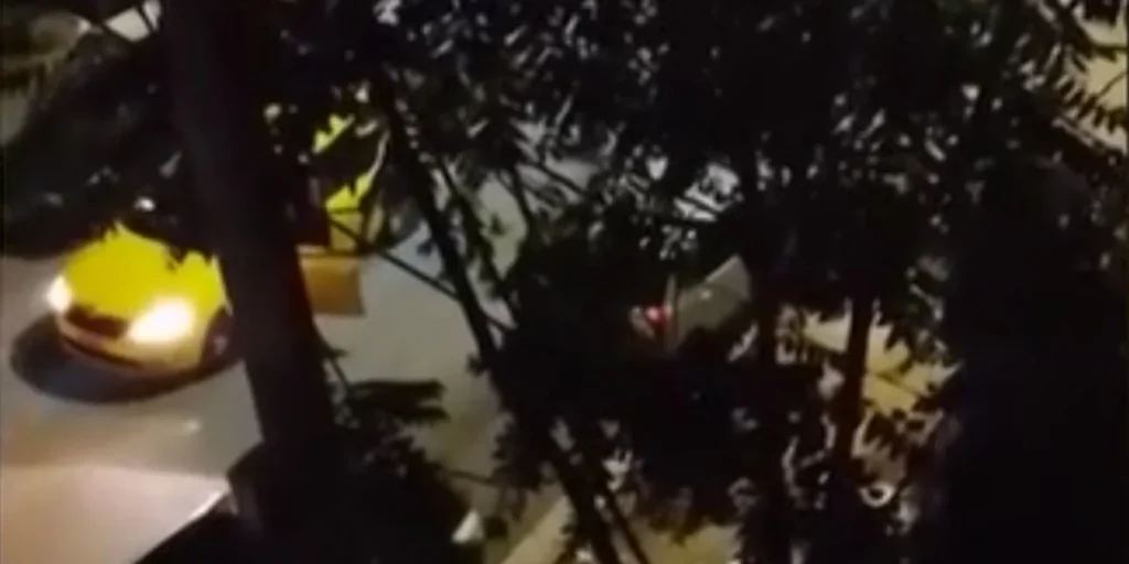 Νέα Ιωνία: Επιβάτης δάγκωσε και έκοψε το αυτί γυναίκας οδηγού ταξί – «Νόμιζα ότι έπαιρνα μέρος σε ταινία με έναν τρελό κανίβαλο» – Βίντεο ντοκουμέντο